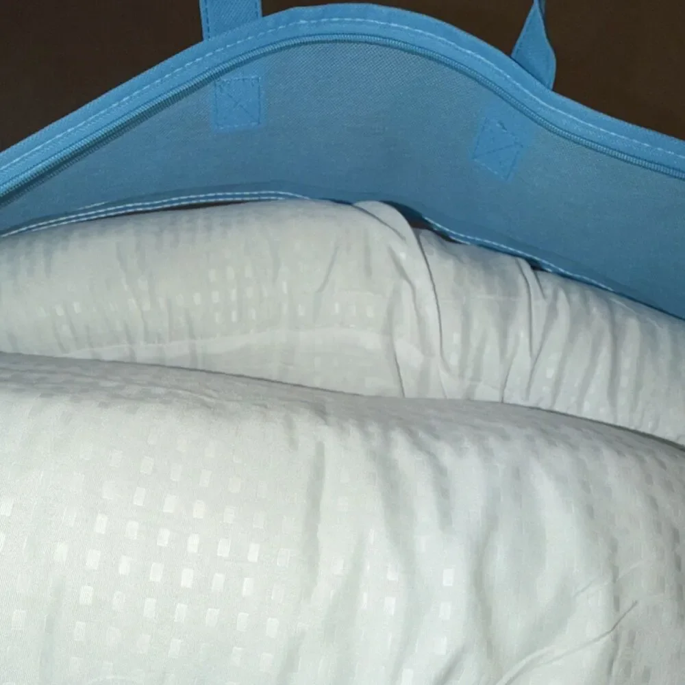 Bliss Bedding Down Alternative 2-Pack Bed Pillows Textured 20
